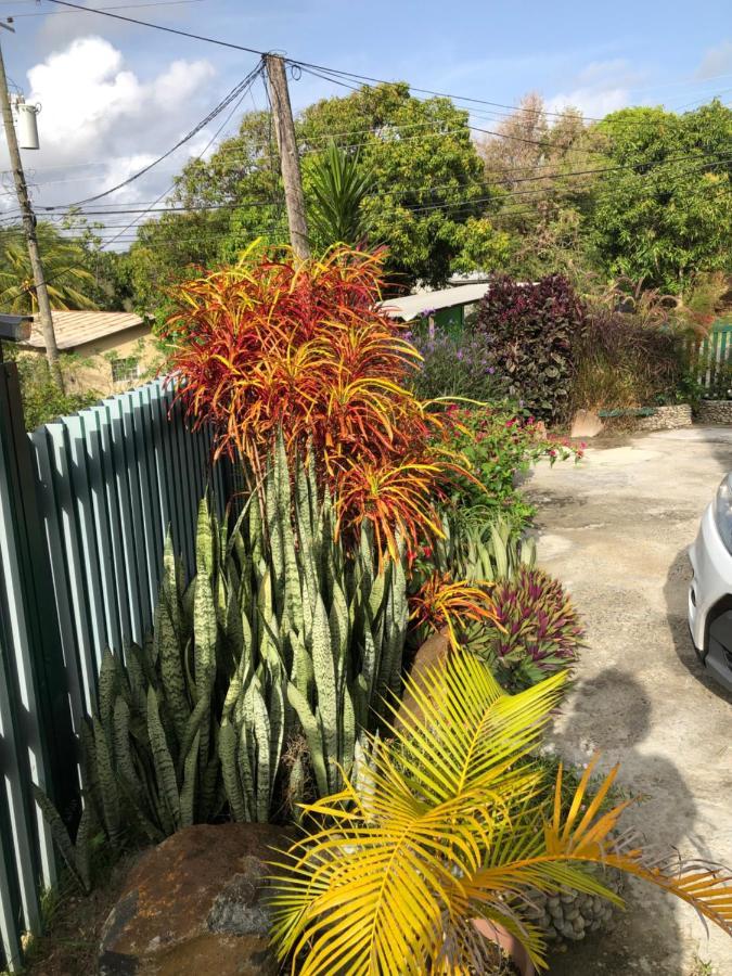 Aupicblue Vieux Fort Exterior foto